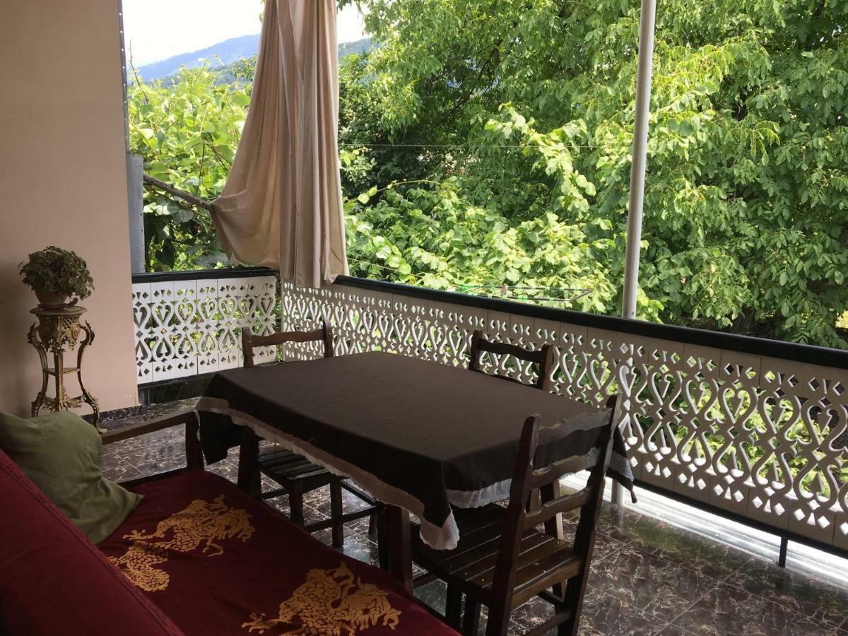 Guesthouse Aisi In Lagodekhi Esterno foto